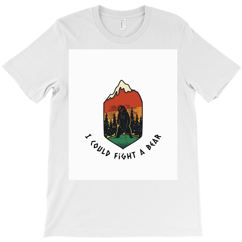 Fight A Bear Viking  Aesthetic T-shirt | Artistshot