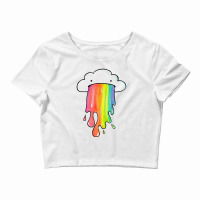 Newcloud Overlay Rainbow Crop Top | Artistshot