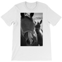 Horse Classic 70s Retro T-shirt | Artistshot