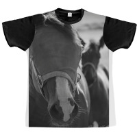 Horse Classic 70s Retro Graphic T-shirt | Artistshot