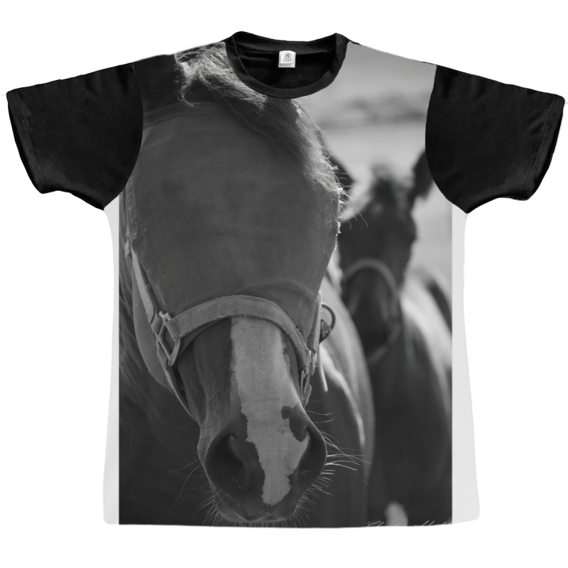 Horse Classic 70s Retro Graphic T-shirt | Artistshot