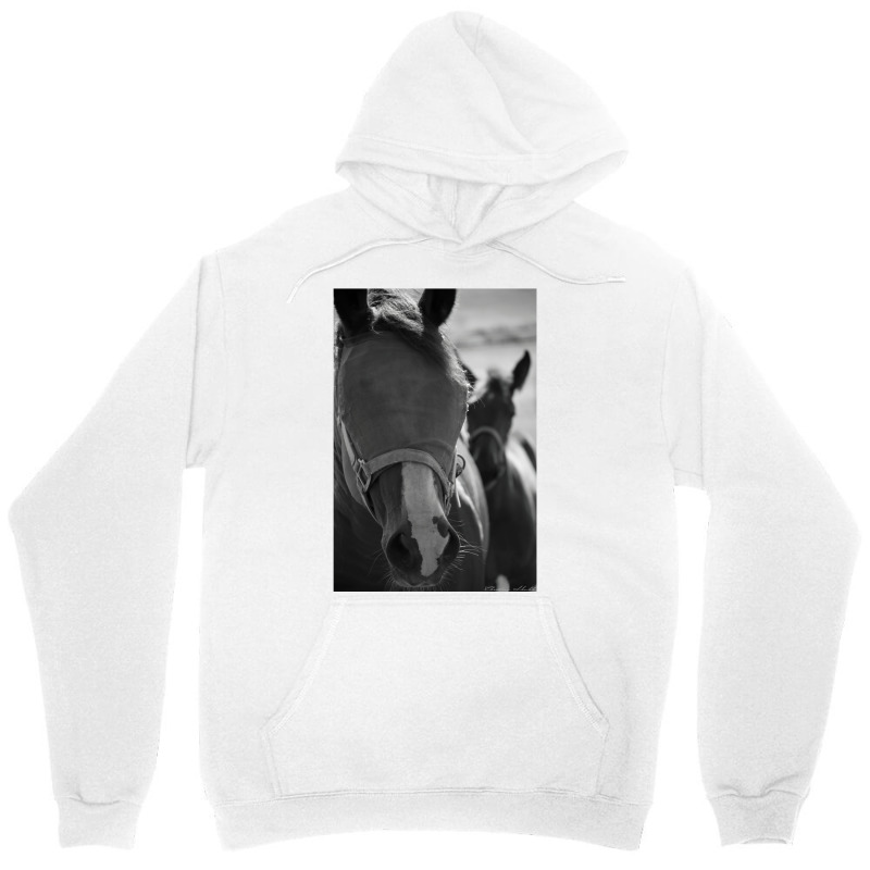 Horse Classic 70s Retro Unisex Hoodie | Artistshot