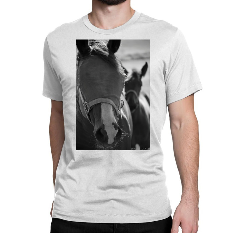 Horse Classic 70s Retro Classic T-shirt | Artistshot