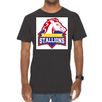 Legacies Salvatore Stallions Poster Vintage T-shirt | Artistshot