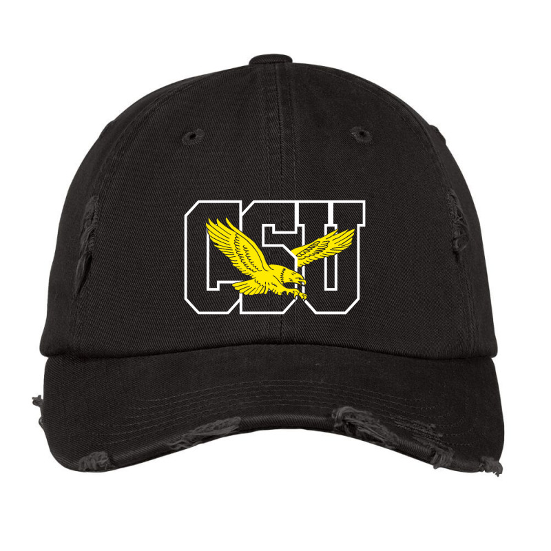 Coppin State Eagles Vintage Cap | Artistshot