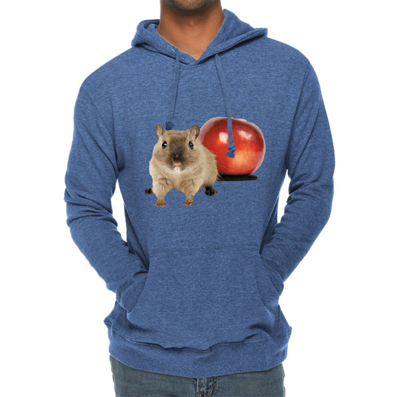 Hamster And Apple Lightweight Hoodie | Artistshot