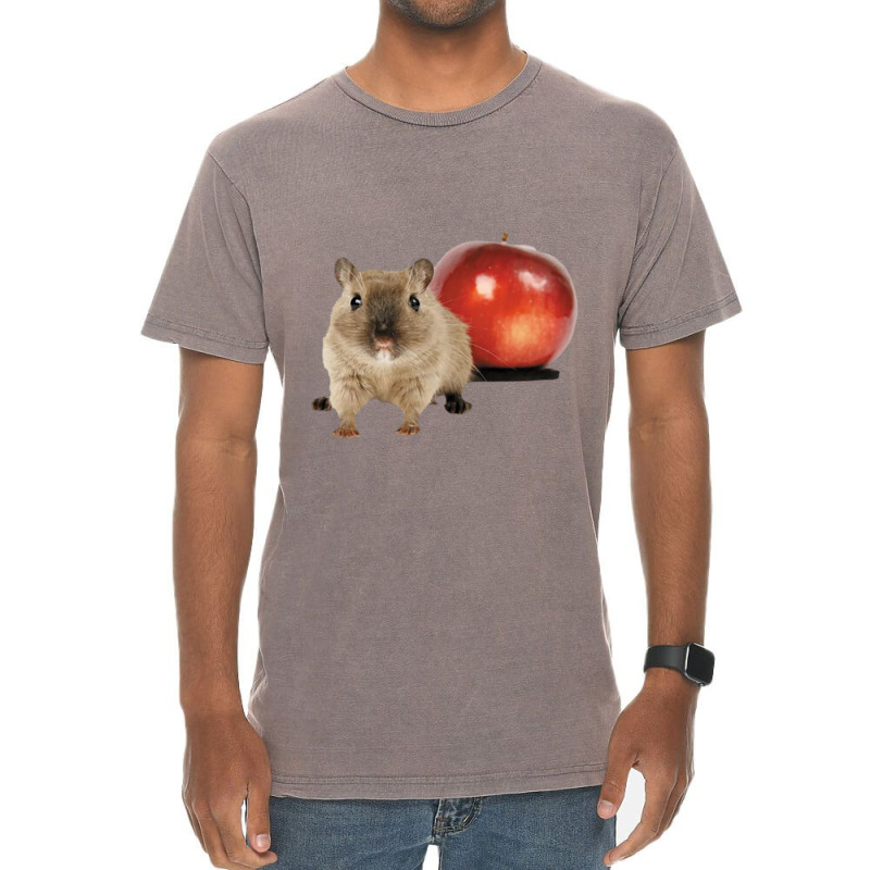 Hamster And Apple Vintage T-shirt | Artistshot