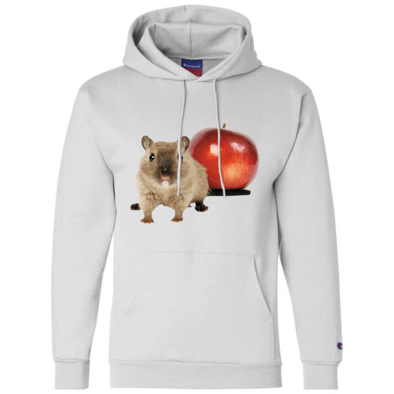 Hamster And Apple Champion Hoodie | Artistshot