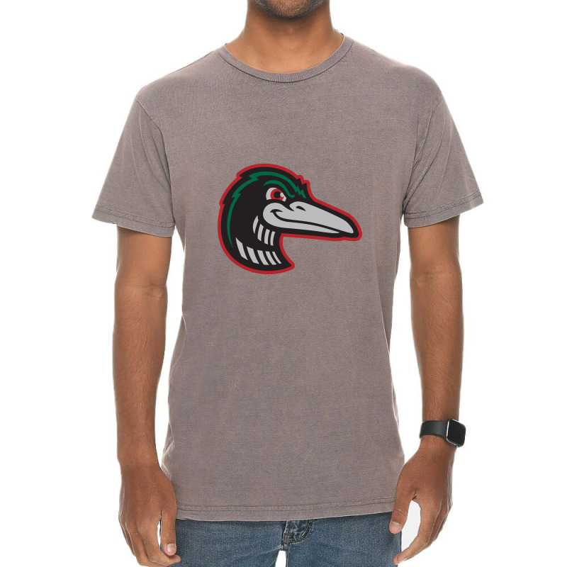 Great Lakes Loons Vintage T-shirt | Artistshot