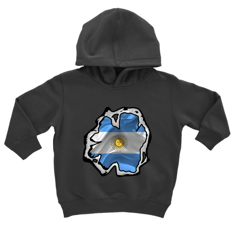 Argentina Flag Unik Toddler Hoodie by templetracking23 | Artistshot