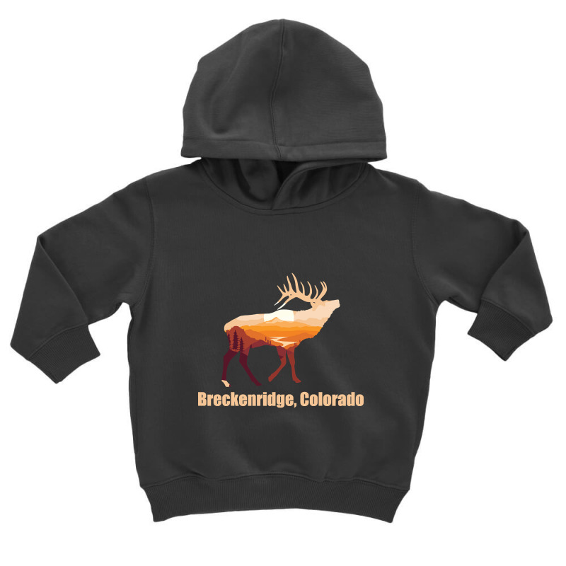 Breckenridge Colorado-1bgsv Toddler Hoodie by nuanceteams169 | Artistshot