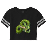 Predaplant Verte Anaconda Scorecard Crop Tee | Artistshot