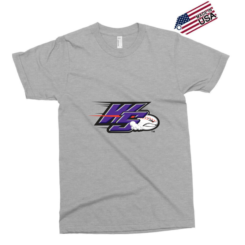 Winston Salem Dash Exclusive T-shirt | Artistshot