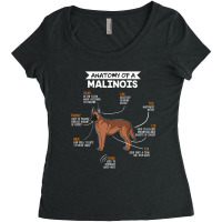 Anatomy Of A Malinois Women's Triblend Scoop T-shirt | Artistshot