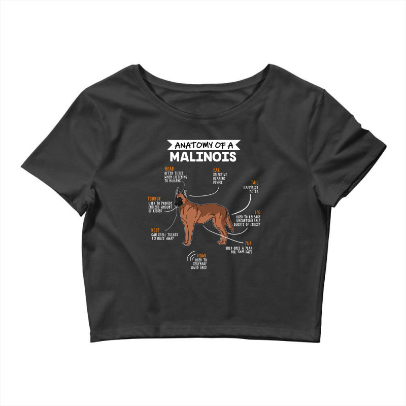 Anatomy Of A Malinois Crop Top by eshop4me | Artistshot