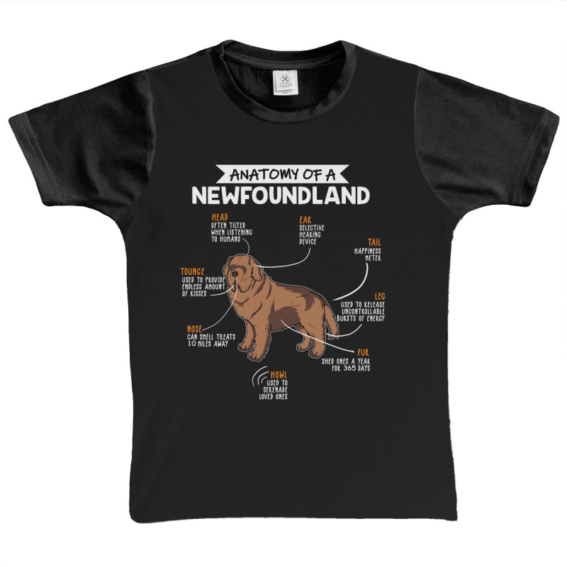 Anatomy Of A Newfoundland Graphic Youth T-shirt by eshop4me | Artistshot