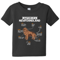 Anatomy Of A Newfoundland Baby Tee | Artistshot