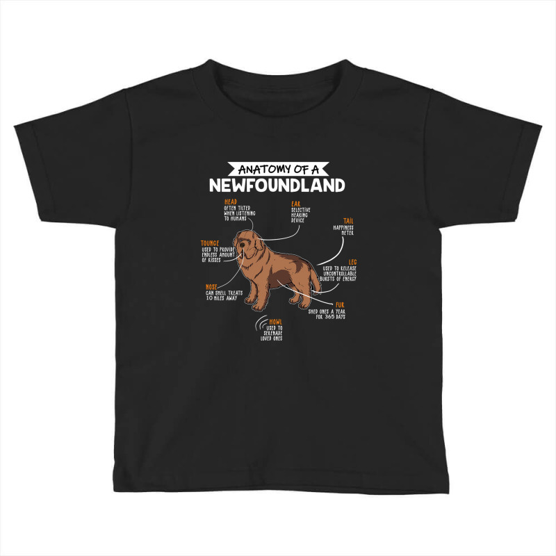 Anatomy Of A Newfoundland Toddler T-shirt by eshop4me | Artistshot