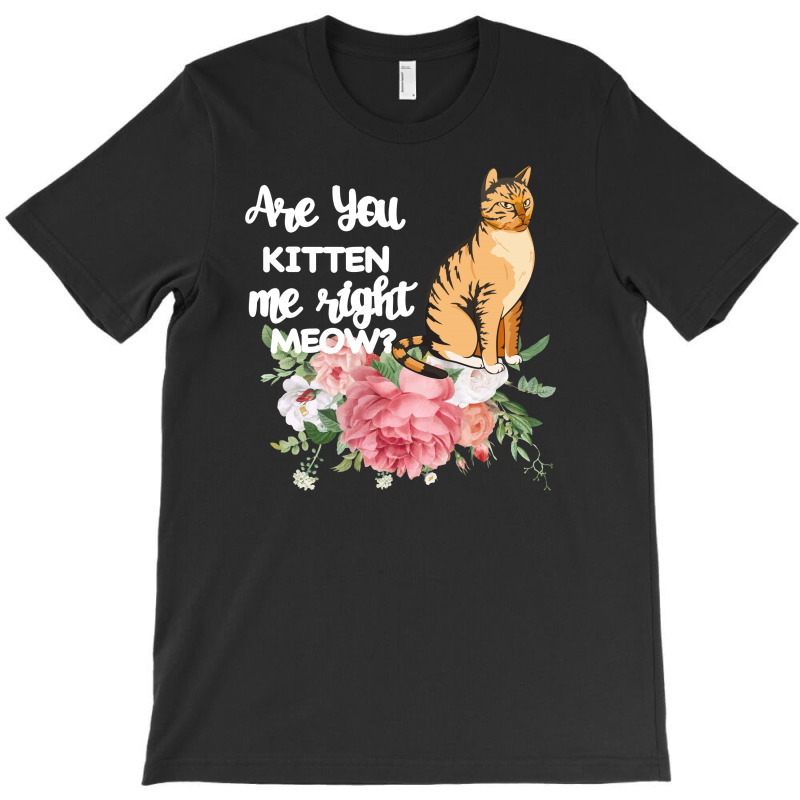 Cat Maine Coon Gift Kidding Kitten Meow Pussycat T-shirt | Artistshot