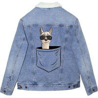 Hipster Alpaca With Sunglasses  Casual Llama In Pocket Unisex Sherpa-lined Denim Jacket | Artistshot