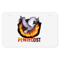 Pentecost Doves Fire Flame Holy Spirit Catholic Atv License Plate | Artistshot