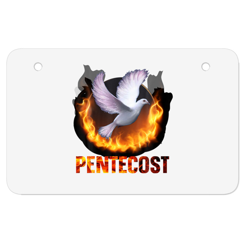 Pentecost Doves Fire Flame Holy Spirit Catholic Atv License Plate | Artistshot