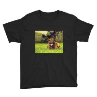 Pitbull Vibrant Painting Youth Tee | Artistshot