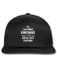 California Kingsnake Funny Quote Pet Owner Printed Hat | Artistshot