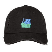 Cat In A Box Vintage Cap | Artistshot