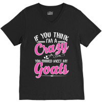 If You Think I'm A Crazy You Shoult Meet My Goats V-neck Tee | Artistshot