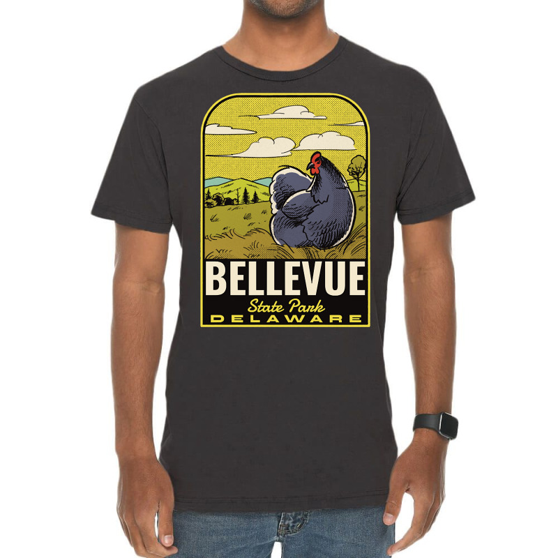 Bellevue State Park De Vintage Travel Vintage T-shirt | Artistshot