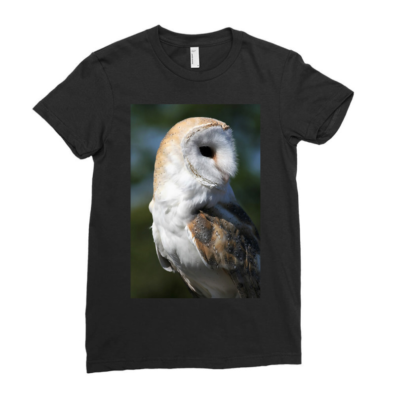 Barn Owl Ladies Fitted T-Shirt by fumbledeafness270 | Artistshot