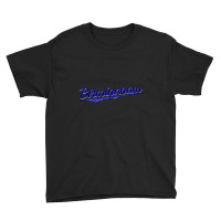 Birmingham Alabama Youth Tee | Artistshot