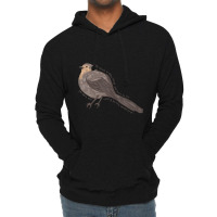 Blackbird Lightweight Hoodie | Artistshot