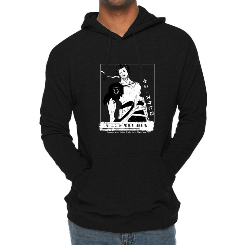 Surpass Your Limits Lightweight Hoodie | Artistshot