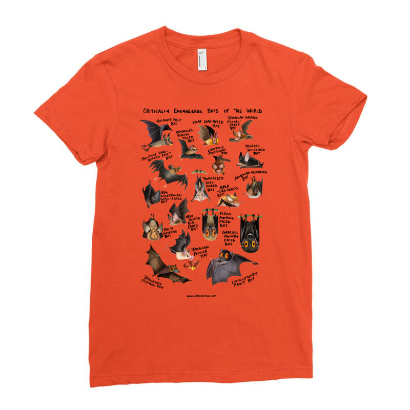 Critically Endangered Bats Of The World Ladies Fitted T-Shirt by zgombashilojm | Artistshot