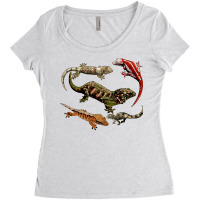 New Caledonian Geckos Women's Triblend Scoop T-shirt | Artistshot