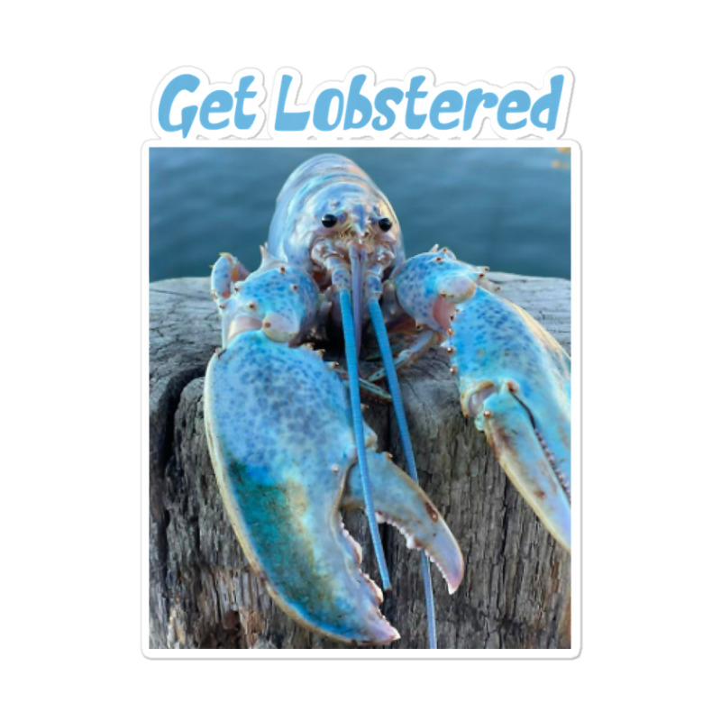 Funny Jumpscare Lobster Meme Blue Crustacean T Shirt Sticker | Artistshot