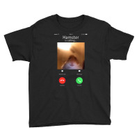 Dank Hamster Staring Front Camera Hamster Calling Youth Tee | Artistshot