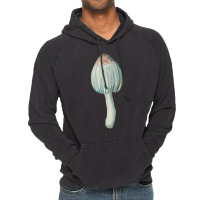 Artistshot Limited Edition Mushroom Master Toadstool Vintage Hoodie | Artistshot