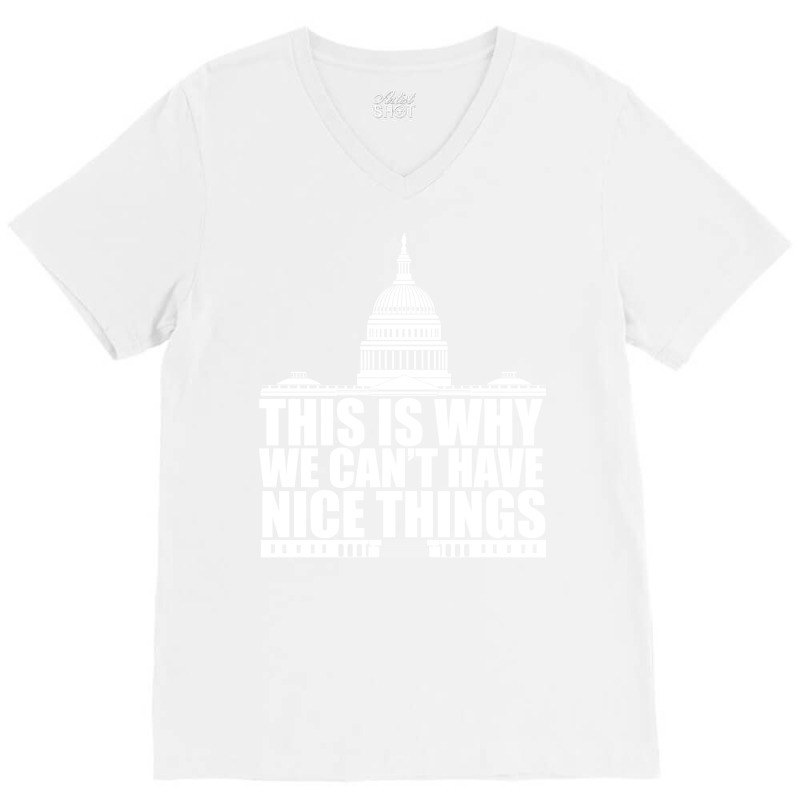 This Is Why We Cant Have Nice Things Vintage V-neck Tee | Artistshot