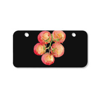 Tomato Wall Watercolor Bicycle License Plate | Artistshot