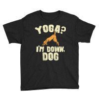 Yoga Tshirts, Yoga Tee, I'm Down Dog Joke Youth Tee | Artistshot