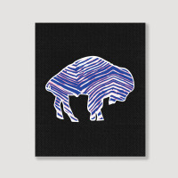 Limited Edition Buffalo Zebra Blue And Pink Portrait Canvas Print | Artistshot