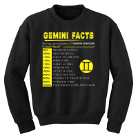 Hot Trend Gemini Facts Zodiac Gemini Birthday Youth Sweatshirt | Artistshot