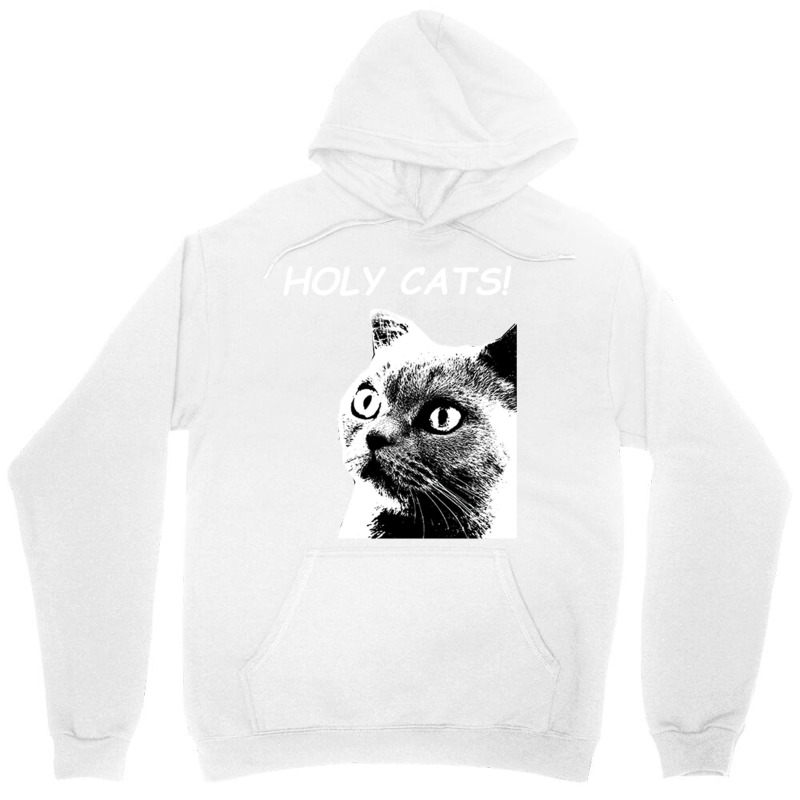 Holy Cats Unisex Hoodie | Artistshot