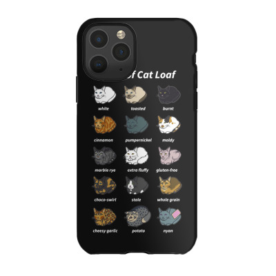 Funny Cat Dimension Iphone 11 Pro Case Designed By Warning