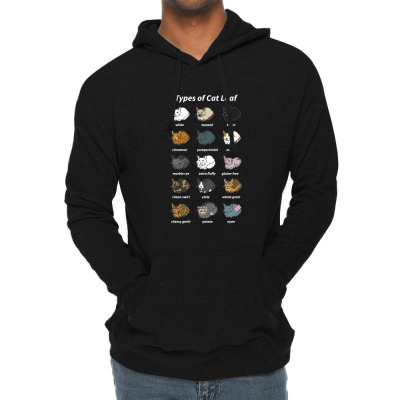 Funny Cat Dimension Lightweight Hoodie Designed By Warning