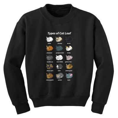 Funny Cat Dimension Youth Sweatshirt Designed By Warning