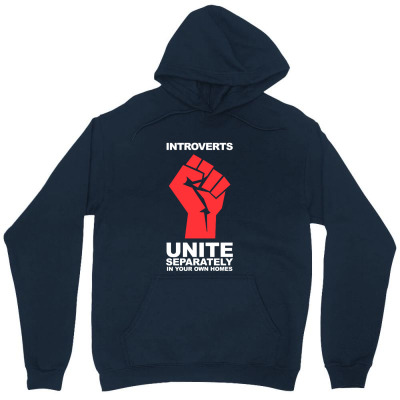 Dont Introverts Unisex Hoodie Designed By Warning